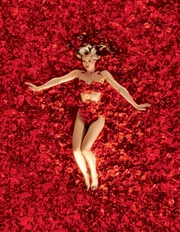 Angela Hayes (Mena Suvari) ist eine Freundin von Jane Burnham (Thora Birch). Zeitgleich ist sie der Traum Lesters (Kevin Spacey) schlafloser N&auml;chte. Kann Janes Vater die h&uuml;bsche Jugendliche beeindrucken?