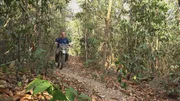 Ein Mann fährt mit einem Motorrad auf einem schmalen, mit Laub bedeckten Pfad durch einen dichten Wald. Die Umgebung ist von hohen Bäumen und üppigem Grün geprägt. Die Szene vermittelt ein Gefühl von Abenteuer und Erkundung in abgelegenen Naturgebieten, möglicherweise im Umfeld des Tempelkomplexes Angkor Wat. Ein Mann fährt mit einem Motorrad auf einem schmalen, mit Laub bedeckten Pfad durch einen dichten Wald. Die Umgebung ist von hohen Bäumen und üppigem Grün geprägt. Die Szene vermittelt ein Gefühl von Abenteuer und Erkundung in abgelegenen Naturgebieten, möglicherweise im Umfeld des Tempelkomplexes Angkor Wat.