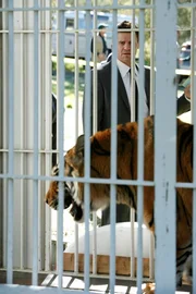 Ein Mord führt Booth (David Boreanaz) in den Tigerkäfig eines Safarizoos. Ein Mord führt Booth (David Boreanaz) in den Tigerkäfig eines Safarizoos.