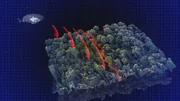 Diese 3D-Topografiekarte zeigt ein bewaldetes Gebiet mit roten Linien, die möglicherweise Pfade oder Untersuchungszonen markieren. Ein Helikopter in der oberen linken Ecke deutet auf eine Luftvermessung oder Kartierung hin. Der blaue Rasterhintergrund verleiht der Darstellung einen wissenschaftlich-technischen Charakter. Die Szene veranschaulicht den Einsatz moderner Technologien zur Analyse historischer Landschaften wie rund um Angkor Wat. Diese 3D-Topografiekarte zeigt ein bewaldetes Gebiet mit roten Linien, die möglicherweise Pfade oder Untersuchungszonen markieren. Ein Helikopter in der oberen linken Ecke deutet auf eine Luftvermessung oder Kartierung hin. Der blaue Rasterhintergrund verleiht der Darstellung einen wissenschaftlich-technischen Charakter. Die Szene veranschaulicht den Einsatz moderner Technologien zur Analyse historischer Landschaften wie rund um Angkor Wat.