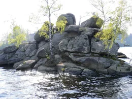 "Universum", "Kamp - Ein Fluss f&uuml;r alle Sinne." Wo einst hohe Gebirge aus den Urmeeren emporragten und heute eine sanfte, h&uuml;gelige Landschaft das n&ouml;rdliche Waldviertel pr&auml;gen entspringt ein Fluss, der bis zu seiner M&uuml;ndung in die Donau eine faszinierende Vielfalt an geologischen Gegebenheiten durchflie&szlig;t: der Kamp. Er bietet die Lebensader f&uuml;r eine breite Palette an Flora und Fauna, aber auch f&uuml;r die Menschen, die hier im Laufe der Zeit eine spezifische Lebenskultur entwickelt haben. Der Film verfolgt den Fluss im Wandel der Jahreszeiten - eine spannende Reise durch ein faszinierendes Tal und seine Geschichte.  SENDUNG: 3sat - MI - 16.09.2020 - 16:45 UHR. - Veroeffentlichung fuer Pressezwecke honorarfrei ausschliesslich im Zusammenhang mit oben genannter Sendung oder Veranstaltung des ORF bei Urhebernennung.