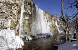 Vereister Kaskadenfall, Wasserbecken im Vordergrund.