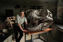 Dr. Lawrence Witmer und sein Abguss eines ausgewachsenen T-Rex Sch&auml;dels in Athens, Ohio.