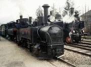 U1 und Mollu auf der Ybbstalbahn.