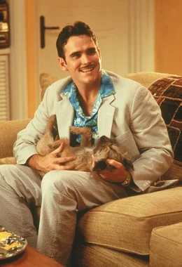 Privatdetektiv Pat Healy (Matt Dillon) hat eigentlich nur den Auftrag, die bezaubernde Mary ausfindig zu machen. Doch dann bekommt er selber Schmetterlinge im Bauch ...