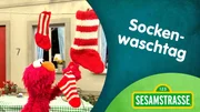 So viele unterschiedliche Socken! „Wie kann man die sortieren?“ So viele unterschiedliche Socken! „Wie kann man die sortieren?“