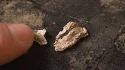 Unbekanntes Material, das bei einer Absturzstelle nahe Roswell gefunden wurde, wird in der University of New Mexico auf seine Herkunft untersucht. Unbekanntes Material, das bei einer Absturzstelle nahe Roswell gefunden wurde, wird in der University of New Mexico auf seine Herkunft untersucht.