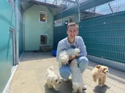 Immer mehr Menschen erfüllen sich den Traum vom eigenen Haustier. Doch nicht alle tun das wohlüberlegt. So werden immer wieder Tiere im Tierheim abgegeben oder ausgesetzt. "PUR+"- Moderator Eric Mayer schaut im Tierheim München nach, wie es diesen Tieren ergeht. Immer mehr Menschen erfüllen sich den Traum vom eigenen Haustier. Doch nicht alle tun das wohlüberlegt. So werden immer wieder Tiere im Tierheim abgegeben oder ausgesetzt. "PUR+"- Moderator Eric Mayer schaut im Tierheim München nach, wie es diesen Tieren ergeht.