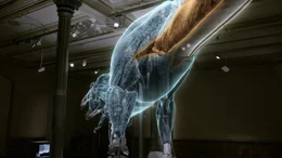 Muskeln eines Tristan T-Rex