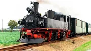 Den Namen „Wilder Robert“ erhielt die Bimmelbahn angeblich, weil hier in früherer Zeit einmal ein Lokführer Dienst tat, der für seinen etwas verwegenen Fahrstil bekannt war. Er hieß Robert. Den Namen „Wilder Robert“ erhielt die Bimmelbahn angeblich, weil hier in früherer Zeit einmal ein Lokführer Dienst tat, der für seinen etwas verwegenen Fahrstil bekannt war. Er hieß Robert.