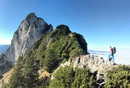 Die Silhouette des Traunsteins am Ostufer des Traunsees ist bereits aus &uuml;ber hundert Kilometern Entfernung sichtbar. Deshalb wird der Berg auch als W&auml;chter des Salzkammergutes bezeichnet. Viele K&uuml;nstler, Schriftsteller wie Nikolaus Lenau, bestiegen ihn, ebenso jagdfreudige Habsburger. Trotz seiner bescheidenen H&ouml;he von 1.691 m ist er aber auch ein Berg voller Gefahren. Nur Europas h&ouml;chster Berg, der Mont Blanc, forderte mehr Todesopfer als das gewaltige Kalksteinmassiv im ober&ouml;sterreichischen Salzkammergut. Seine schroffen Bergw&auml;nde fallen direkt in den See und das macht ihn f&uuml;r Bergsteiger zum herausfordernden Ziel und zum Fotomotiv f&uuml;r Menschen aus aller Welt. Im Bild: Ostgrat Traunstein.