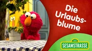 Elmo hat vergessen, Julias Blume während ihres Urlaubs zu gießen. Elmo hat vergessen, Julias Blume während ihres Urlaubs zu gießen.