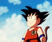 Son-Goku. ŠBird Studio/Shueisha, Toei Animation