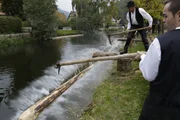 Jahrhundertelang verschifften die Schwarzw&auml;lder Holzh&auml;ndler Eichen und Tannen &uuml;ber den Rhein.