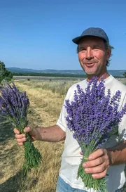Michel Blanc betreibt im Norden der Albion-Hochebene Lavendellandwirtschaft. Michel Blanc betreibt im Norden der Albion-Hochebene Lavendellandwirtschaft.