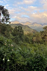 Blick auf das Ruwenzori-Gebirge