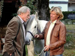 Hansi (Hansi Hinterseer, rechts) und sein Vater Johann (Franz Buchrieser) sprechen sich endlich aus.
