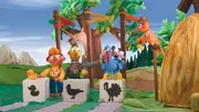 Taube Bernice und Quietscheentchen nehmen an der Vogel-Olympiade teil, Ernie und Bert sind ihre Trainer! Taube Bernice und Quietscheentchen nehmen an der Vogel-Olympiade teil, Ernie und Bert sind ihre Trainer!