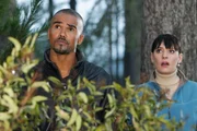 M&uuml;ssen einen neuen Fall aufdecken: Prentiss (Paget Brewster, r.) und Morgan (Shemar Moore, l.) ...