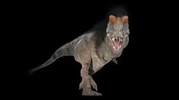 Rekonstruktion eines T-Rex
