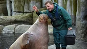 Seit 27 Jahren arbeitet Dirk Stutzki im Tierpark Hagenbeck. Seit 27 Jahren arbeitet Dirk Stutzki im Tierpark Hagenbeck.