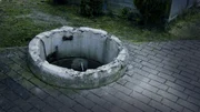 In einem Brunnen wird durch Zufall ein Skelett gefunden. War es Mord? In einem Brunnen wird durch Zufall ein Skelett gefunden. War es Mord?