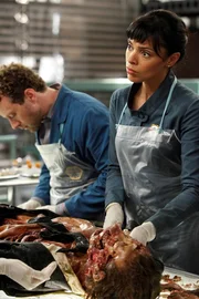 Dr. Hodgins (TJ Thyne) und Dr. Saroyan (Tamara Taylor). Dr. Hodgins (TJ Thyne) und Dr. Saroyan (Tamara Taylor).