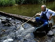 Peter Lustig "angelt" T&ouml;ne. Er m&ouml;chte aus dem Pl&auml;tschern des Baches eine eigene Komposition erstellen.