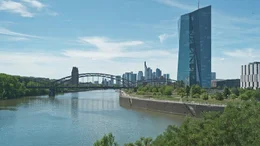 Der Main bei Frankfurt/M.