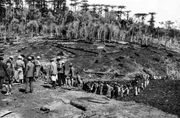 Dreizehnlinden (Treze Tílias), um 1933, beim Roden des Urwaldes. Dreizehnlinden (Treze Tílias), um 1933, beim Roden des Urwaldes.