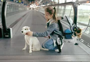 Rebecca (Elisabeth B&ouml;hm) hat beschlossen, sich auf den Weg zu ihrer Mutter zu machen und mit Sack, Pack und Hund nach Amerika zu fliegen.