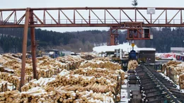 Die Reportage zeigt den Bau eines Holzst&auml;nder-Hauses vom F&auml;llen der B&auml;ume bis zum Aufbau seiner Grundmauern.