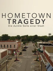 Königspinguine in Feuerland, dem eisigen Süden Südamerikas