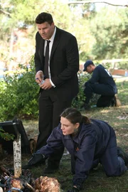 David BOREANAZ, Emily DESCHANEL; BONES - SAISON 7 CHASSEURS DE TORNADE