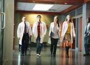 Die Ärzte, v.li.: Peter Jacobson als Taub, Kal Penn als Kutner, Olivia Wilde als «Dreizehn», Anne Dudek als Amber Die Ärzte, v.li.: Peter Jacobson als Taub, Kal Penn als Kutner, Olivia Wilde als «Dreizehn», Anne Dudek als Amber