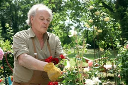 Michael K&ouml;nig (Franzl).