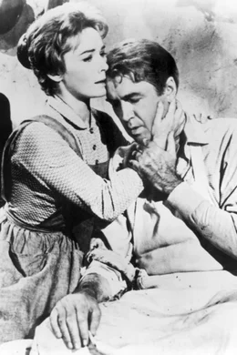 Trotz gewisser Schwierigkeiten entwickelt sich zwischen der h&uuml;bschen Hallie (Vera Miles) und dem rechtschaffenen Anwalt Stoddard (James Stewart) eine innige Liebesbeziehung.