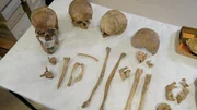 Skelettfunde aus dem Bauernkrieg-Massengrab. Skelettfunde aus dem Bauernkrieg-Massengrab.