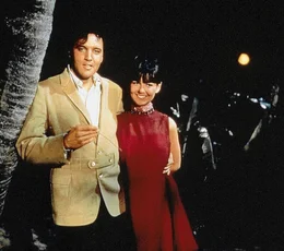 Der Million&auml;rssohn Scott Heyward (Elvis Presley), getarnt als Wasserskilehrer, m&ouml;chte Diannes Liebe gewinnen (Shelley Fabares).