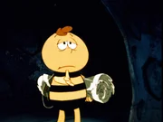 Maja’s Freund Willie. Das Leben ist für ihn sehr aufregend. Maja’s Freund Willie. Das Leben ist für ihn sehr aufregend.