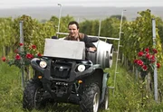 Arbeit im modernen Weinberg: Paul Stickler (Achim Schelhas) f&auml;hrt motorisiert durch die Rieden.
