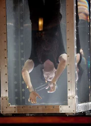 Anfall während des Entfesslungsaktes: Steve Valentine als Magier Flynn Anfall während des Entfesslungsaktes: Steve Valentine als Magier Flynn