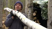 Matt hauls a log for the trapper shack.
