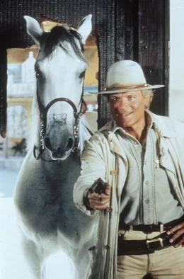 Jetzt geht's den Desperados an den Kragen: Lucky Luke (Terence Hill) und sein treuer Begleiter r&auml;umen in dem Westernst&auml;dtchen Daisy-Town auf ...