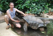 Riesenschildkröten erhalten einen ganz besonderen Service. Riesenschildkröten erhalten einen ganz besonderen Service.