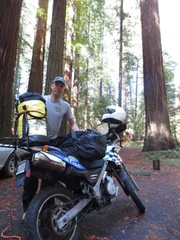 Chad Brey ist einer der besten Baumkletterer Amerikas. Etliche Wettbewerbe hat er in den vergangenen Jahren gewonnen.