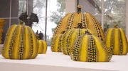 Kürbis im Polka Dot Stil von Künstlerin Yayoi Kusama
