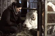 Moni (Christine Reimer) kümmert sich um ihren Zuchtbullen.
