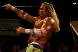 Randy 'The Ram' Robinson (Mickey Rourke)