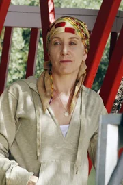 Lynette (Felicity Huffman) ist besorgt, dass der Nachbarschaftsverein auch ihr Baumhaus abreisen l&auml;sst - der einzige Ort, an dem nicht &uuml;ber ihre Krankheit gesprochen werden darf ...